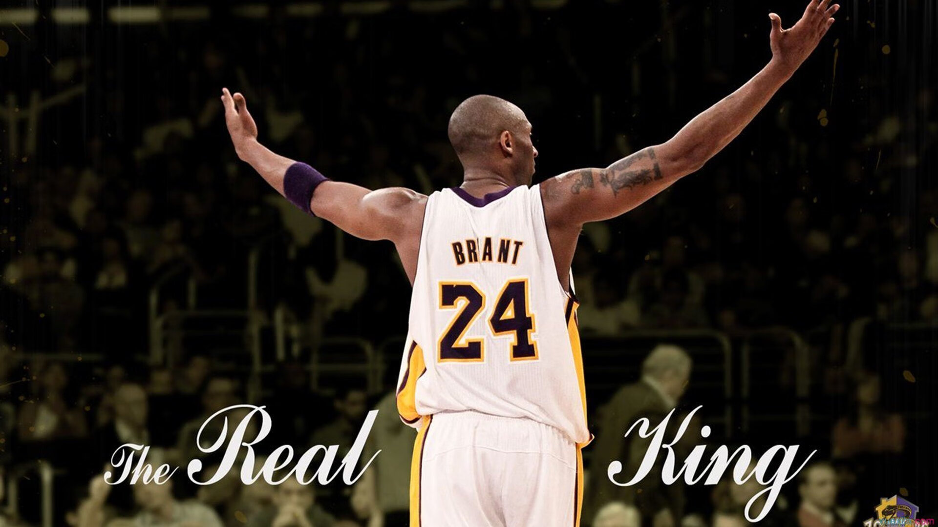 伊布教科书，当洪都拉斯铁壁撞上北欧神话