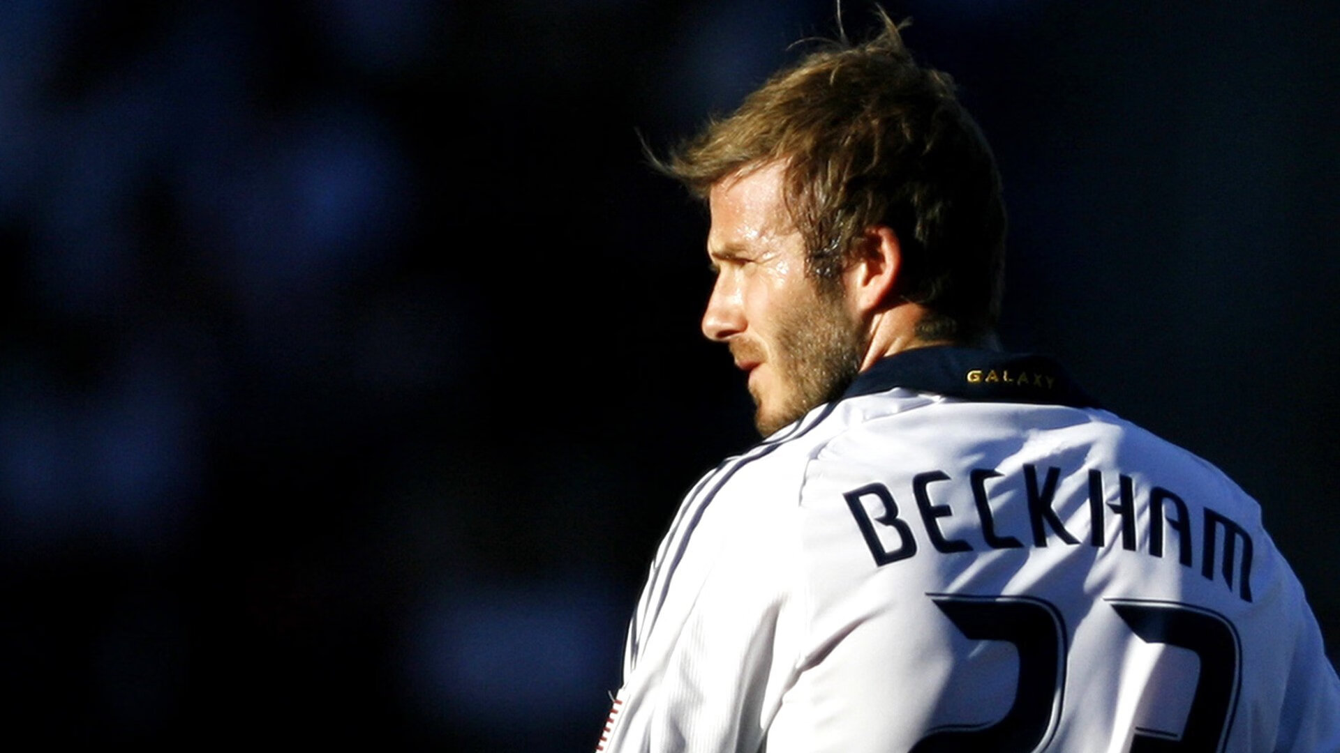 武切维奇，戈壁孤杨，扛起整片江南的天空