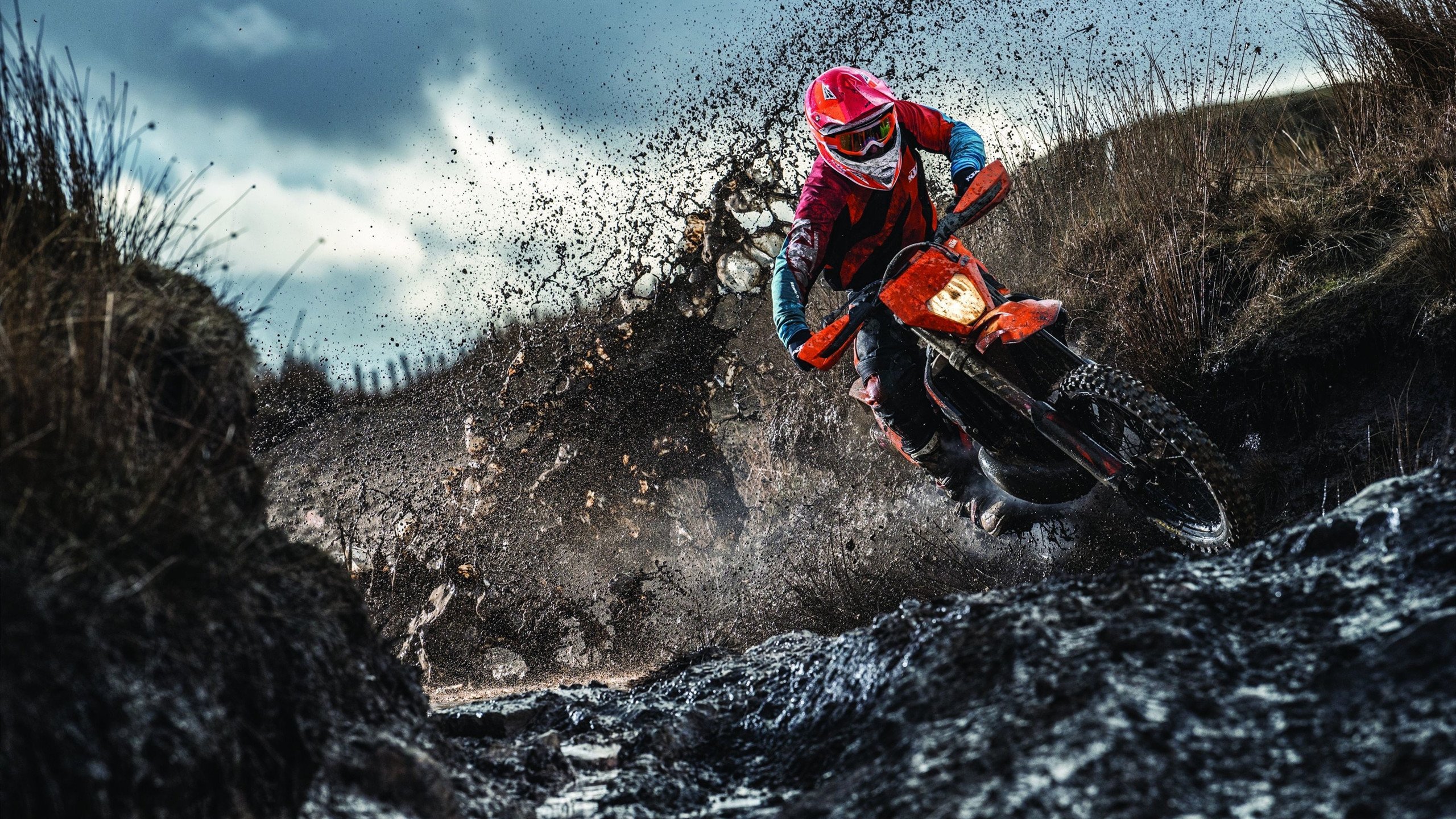 奥纳纳用实力证明自己,突尼斯对阵韩国,一场跨越国界的足球对话